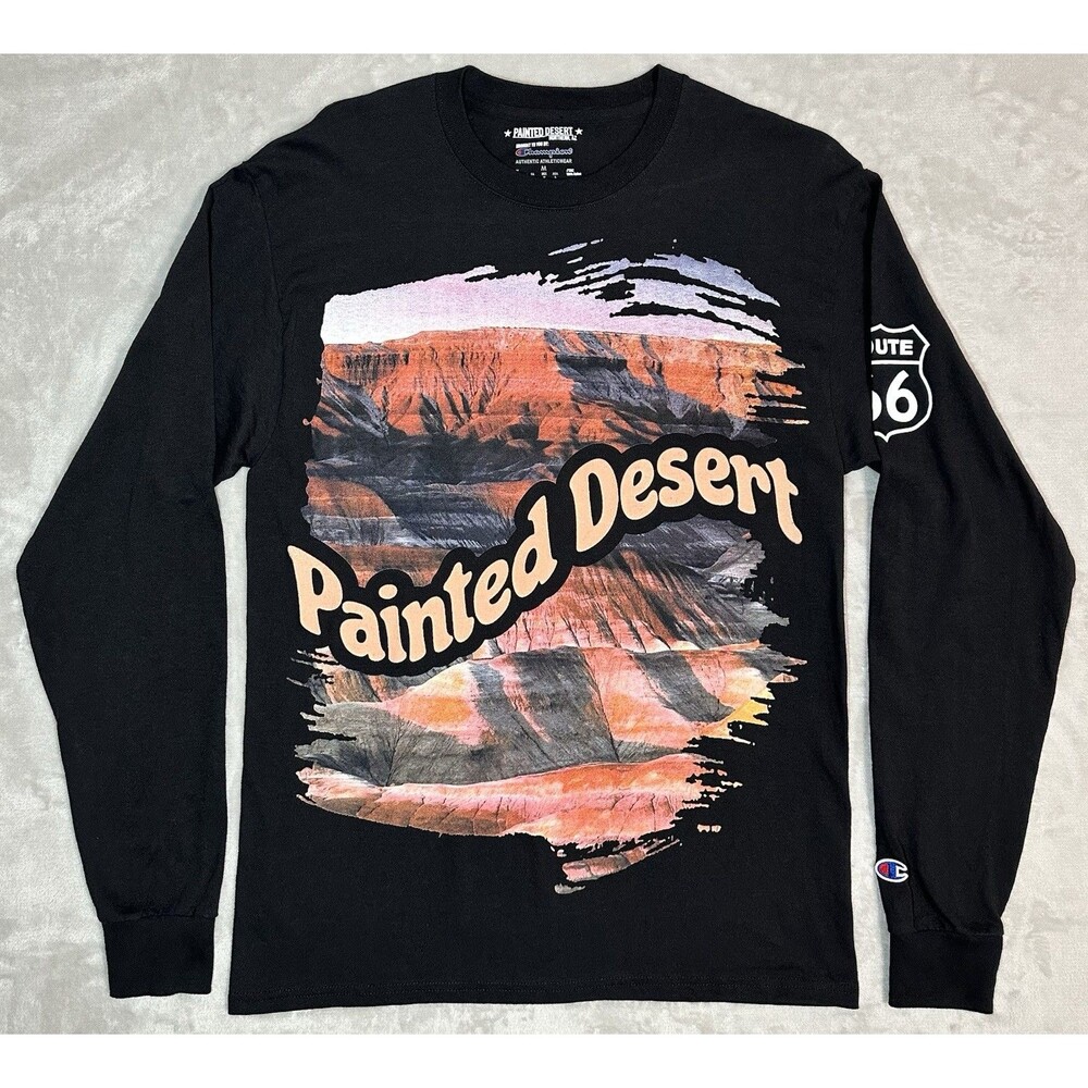 Champion Painted Desert Men's M Route 66 Arizona Graphic Long Sleeve Shirt Black